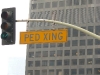 P1010856.JPG